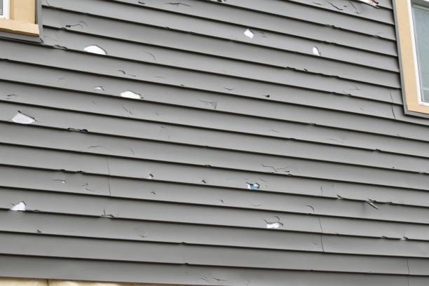 Best Fiber Cement Siding Installation  in USA